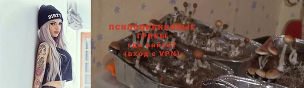 мет Верхний Тагил