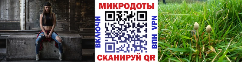 Псилоцибиновые грибы прущие грибы  Миньяр 