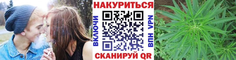 Каннабис OG Kush  Миньяр 